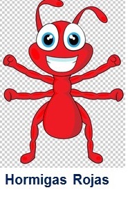 Imagen que contiene dibujo Descripción generada automáticamente